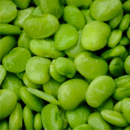 Beans Baby Lima Beans (1x25LB )