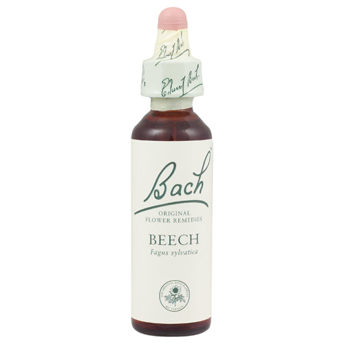 Bach Beech (1x20 ML)