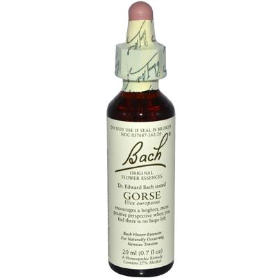 Bach Gorse (1x20 ML)