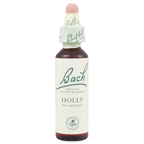 Bach Holly (1x20 ML)