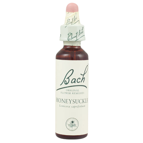 Bach Honeysuckle (1x20 ML)