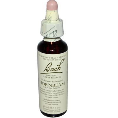 Bach Hornbeam (1x20 ML)