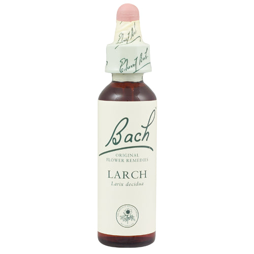 Bach Larch (1x20 ML)