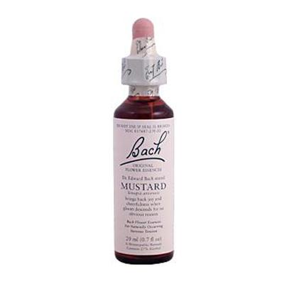 Bach Mustard (1x20 ML)