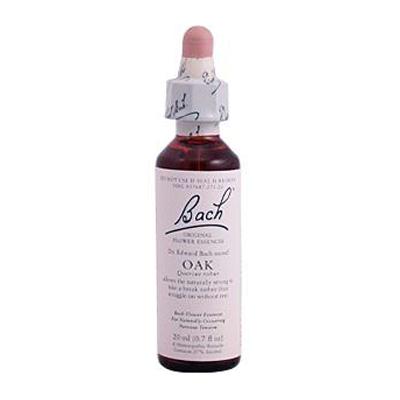 Bach Oak (1x20 ML)