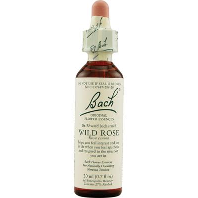 Bach Wild Rose (1x20 ML)