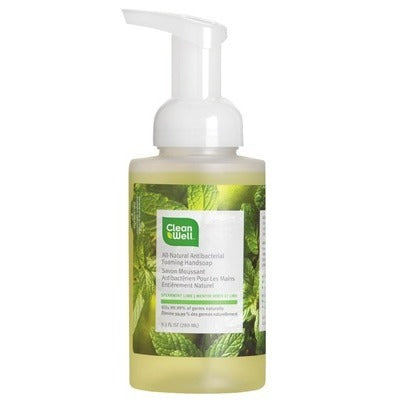 Cleanwell Spearmint Lime Foam Hand Wash (1x9.5 Oz)