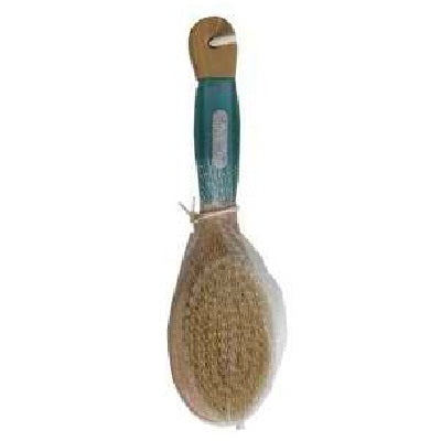 Earth Therapeutics Bmpy Bristle Mass Brush (1x1Each)