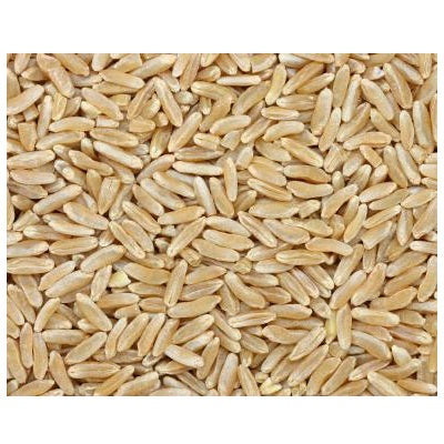 Grains Kamut Berries (1x25LB )