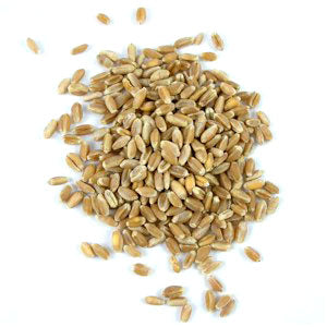 Grains Wheatberries (1x50LB )