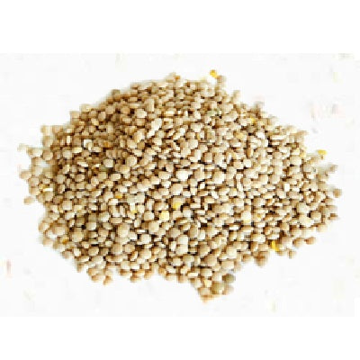 PNW Farmers Yellow Lentils (1x25LB )