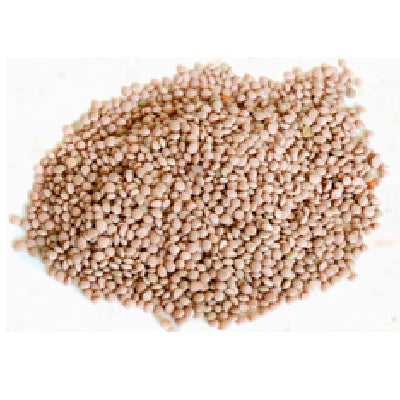 PNW Farmers Red Lentils (1x25LB )