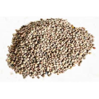 PNW Farmers Brown Lentils (1x25LB )