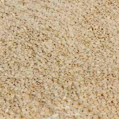 Seeds Wht Hlld Sesame Seed (1x25LB )
