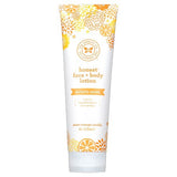 The Honest Company Face and Body Lotion Gentle Sweet Orange Vanilla  (1x8.5 OZ)